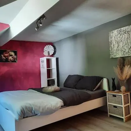 Maison Touristique A Avec Jardin * ブイヨン