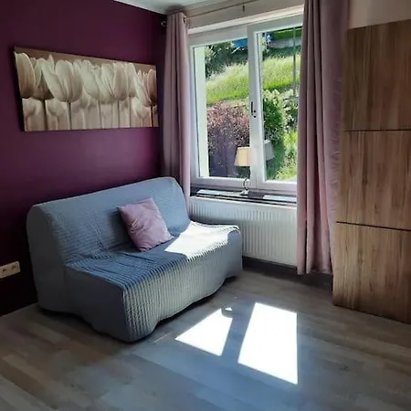 Maison Touristique A Avec Jardin 別荘 ブイヨン