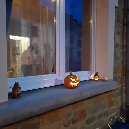 Maison Touristique A Avec Jardin 別荘 *